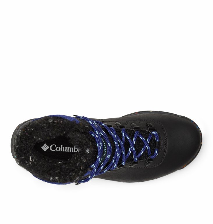 Черевики жіночі Columbia Newton Ridge™ Plus Omni Heat™ W - чорні/сині