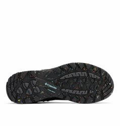Черевики жіночі Columbia Newton Ridge™ Plus Omni Heat™ W - чорні/сині