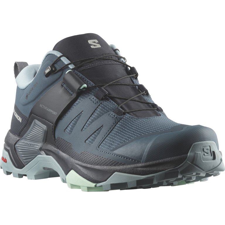 Кросівки Salomon X Ultra 4 GTX W - сіро-голубі