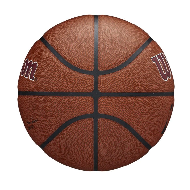Lopta Wilson NBA Team Alliance Cle Cavs - hnedá