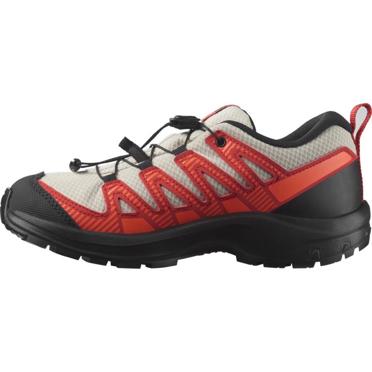 Кросівки Salomon Xa Pro v8 Cswp J - сірі/червоні