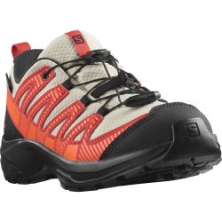 Кросівки Salomon Xa Pro v8 Cswp J - сірі/червоні