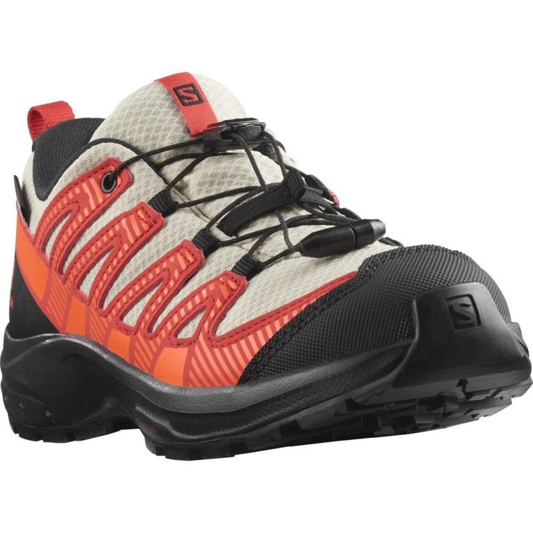 Кросівки Salomon Xa Pro v8 Cswp J - сірі/червоні