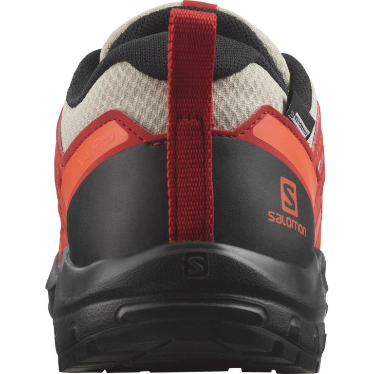 Кросівки Salomon Xa Pro v8 Cswp J - сірі/червоні