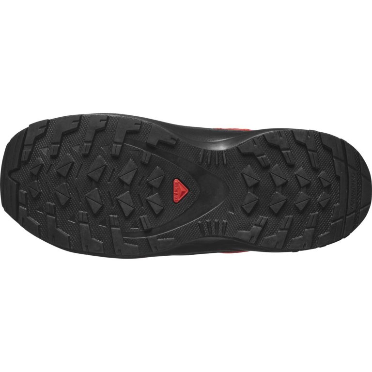 Кросівки Salomon Xa Pro v8 Cswp J - сірі/червоні
