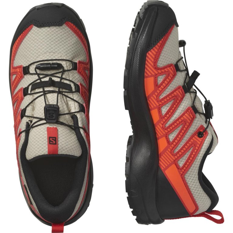 Кросівки Salomon Xa Pro v8 Cswp J - сірі/червоні