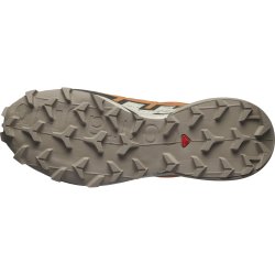 Кросівки Salomon Speedcross 6 GTX W - помаранчеві