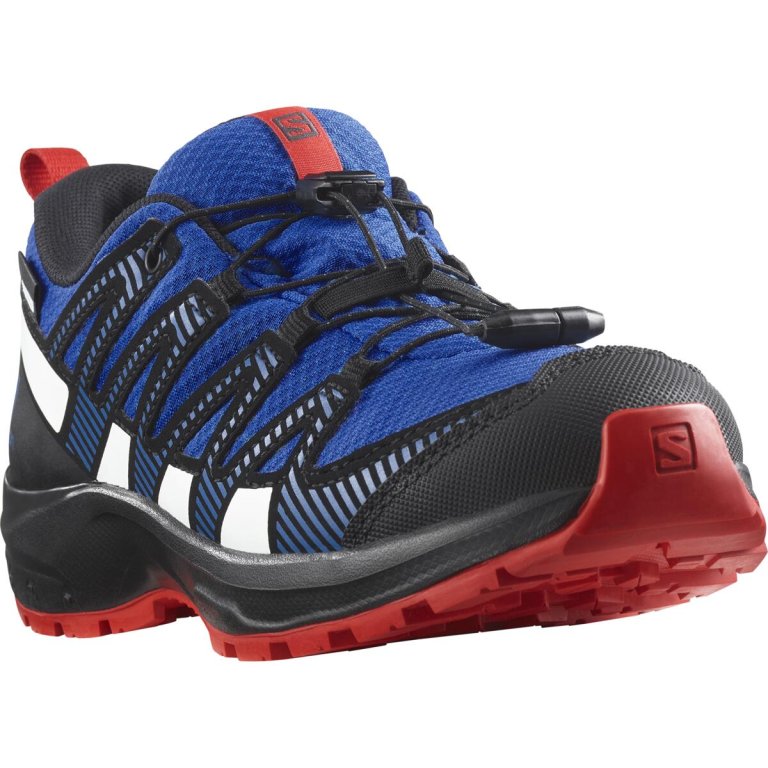 Кросівки Salomon Xa Pro v8 Cswp J - сині/чорні