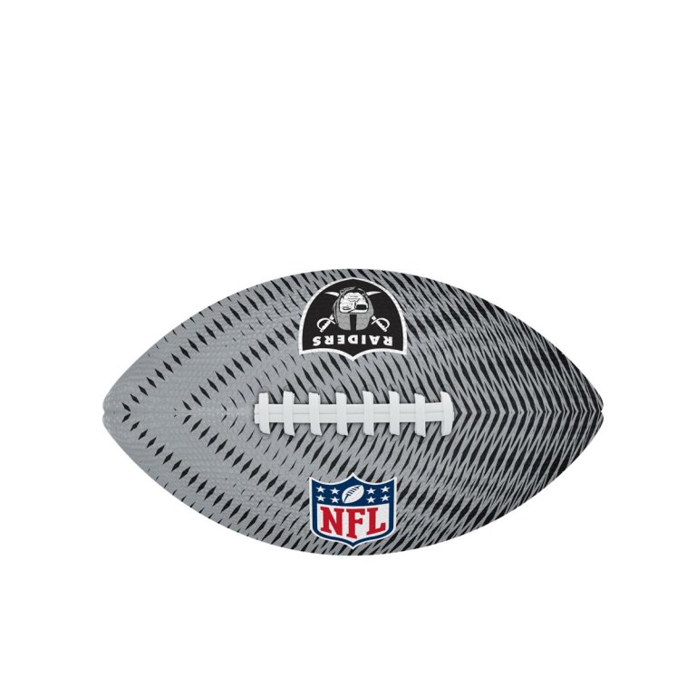 Ворота футбольної команди Wilson NFL Team Tailgate FB LV - чорний/сірий - чорний/сірий