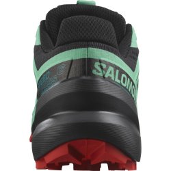 Кросівки Salomon Speedcross 6 W - чорні/зелені