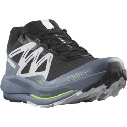 Кросівки Salomon Pulsar Trail M - чорні/сині