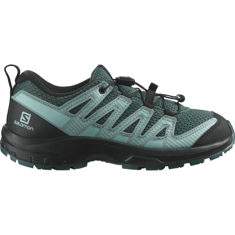 Кросівки Salomon Xa Pro v8 J - блакитні/зелені