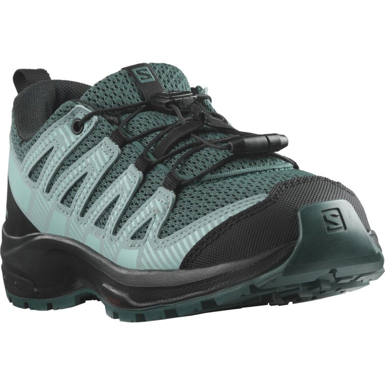 Кросівки Salomon Xa Pro v8 J - блакитні/зелені
