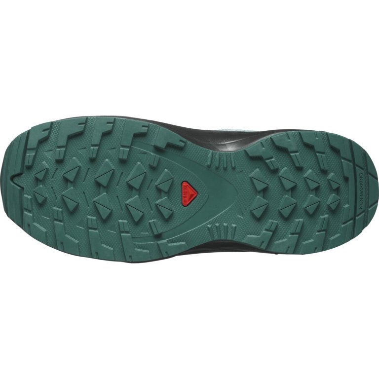 Кросівки Salomon Xa Pro v8 J - блакитні/зелені