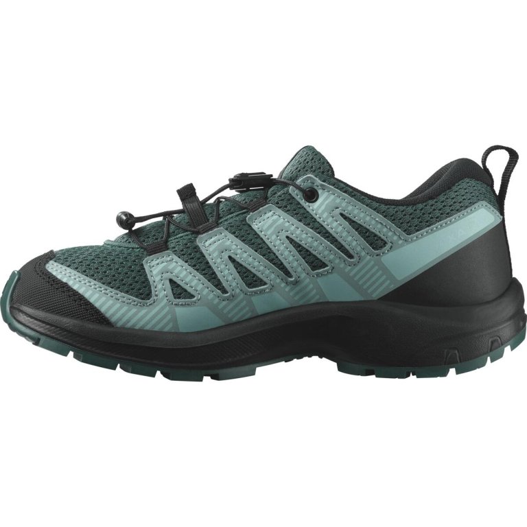 Кросівки Salomon Xa Pro v8 J - блакитні/зелені