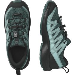 Кросівки Salomon Xa Pro v8 J - блакитні/зелені