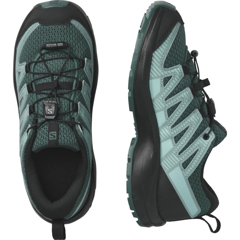 Кросівки Salomon Xa Pro v8 J - блакитні/зелені