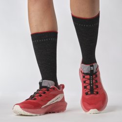 Кросівки Salomon Sense Ride 5 W - червоні
