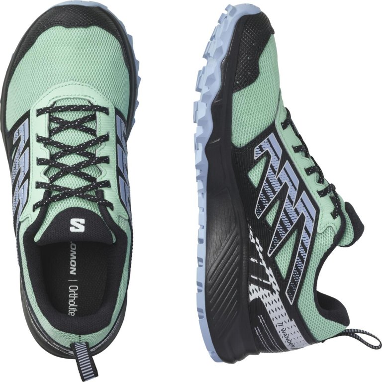 Кросівки Salomon Wander W - чорні/зелені
