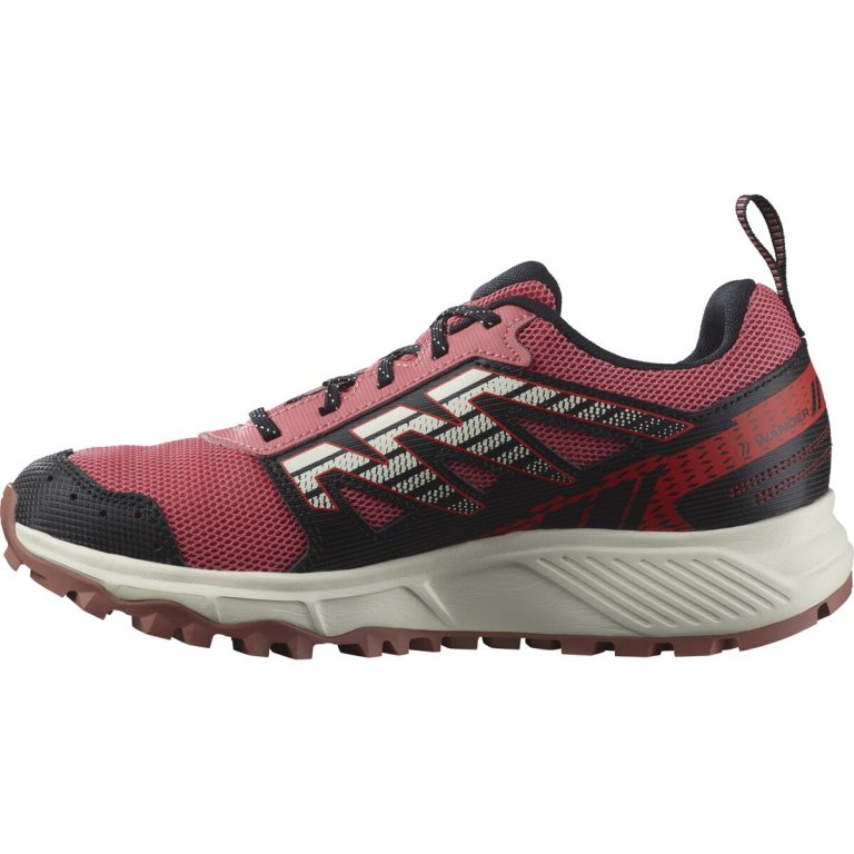 Кросівки Salomon Wander W - чорні/рожеві