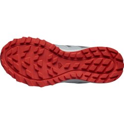 Кросівки Salomon Wander M - сірі