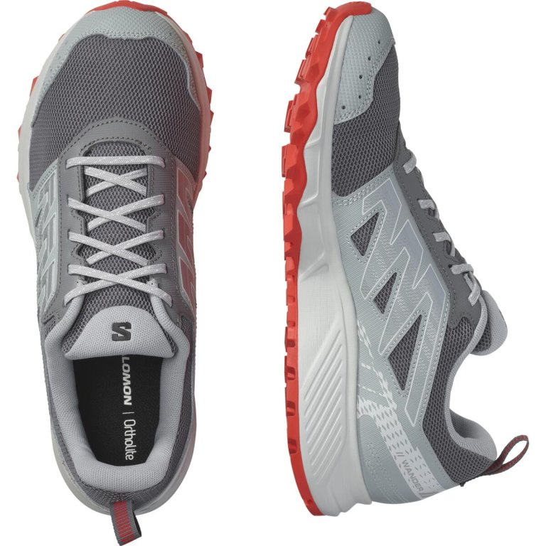 Кросівки Salomon Wander M - сірі