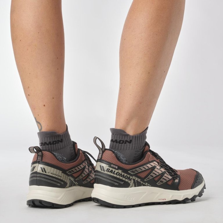 Кросівки Salomon Wander GTX W - чорні/коричневі