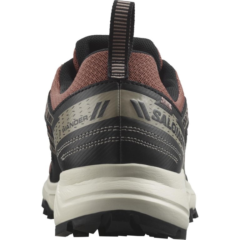 Кросівки Salomon Wander GTX W - чорні/коричневі