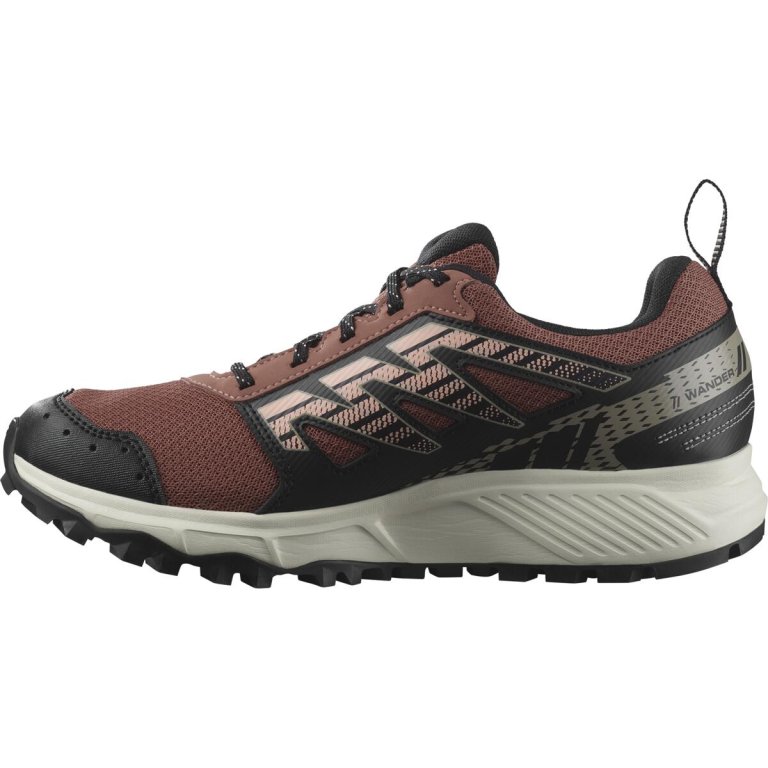 Кросівки Salomon Wander GTX W - чорні/коричневі
