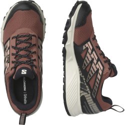 Кросівки Salomon Wander GTX W - чорні/коричневі