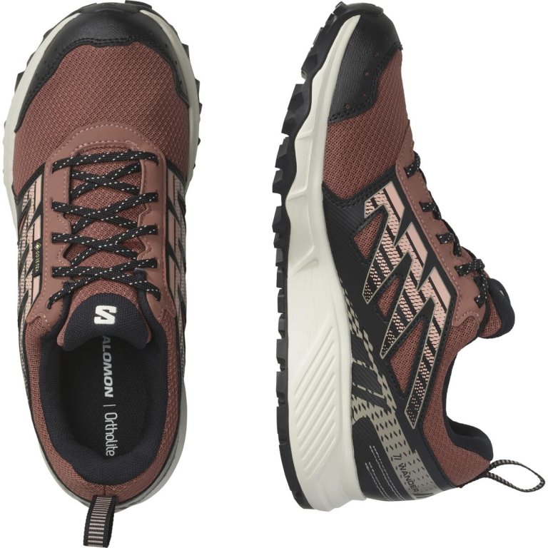 Кросівки Salomon Wander GTX W - чорні/коричневі