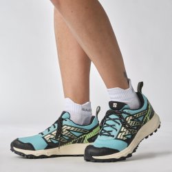 Кросівки Salomon Wander GTX W - чорні/блакитні