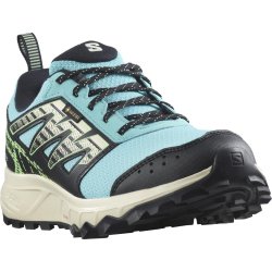 Кросівки Salomon Wander GTX W - чорні/блакитні