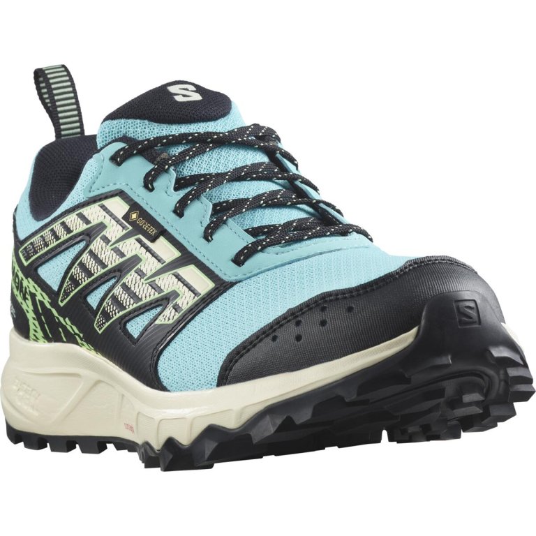 Кросівки Salomon Wander GTX W - чорні/блакитні