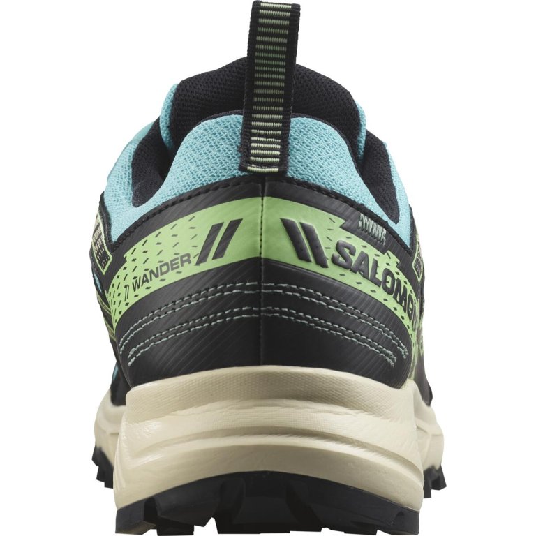 Кросівки Salomon Wander GTX W - чорні/блакитні
