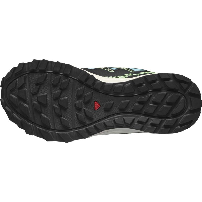 Кросівки Salomon Wander GTX W - чорні/блакитні