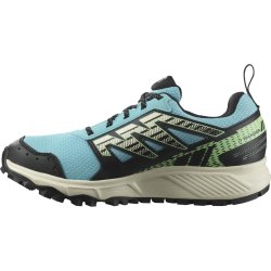 Кросівки Salomon Wander GTX W - чорні/блакитні