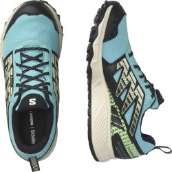 Кросівки Salomon Wander GTX W - чорні/блакитні