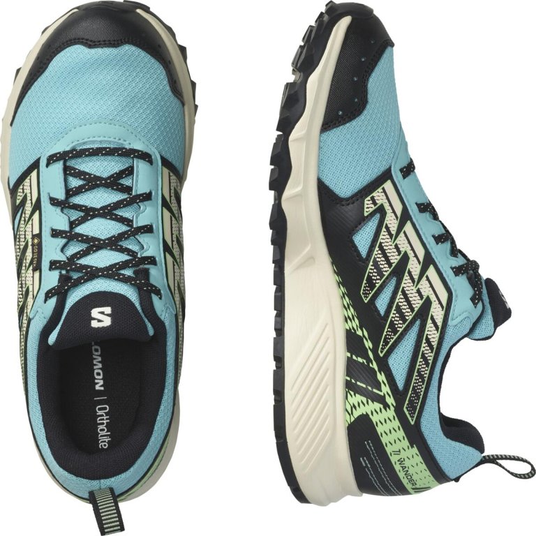 Кросівки Salomon Wander GTX W - чорні/блакитні