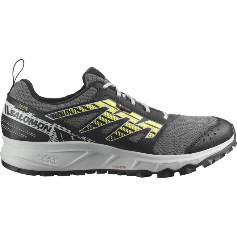 Кросівки Salomon Wander GTX M - чорні/сірі