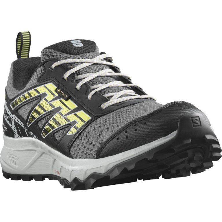 Кросівки Salomon Wander GTX M - чорні/сірі