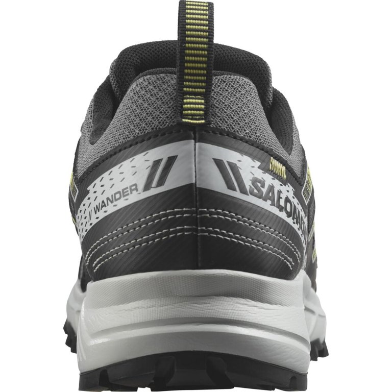Кросівки Salomon Wander GTX M - чорні/сірі