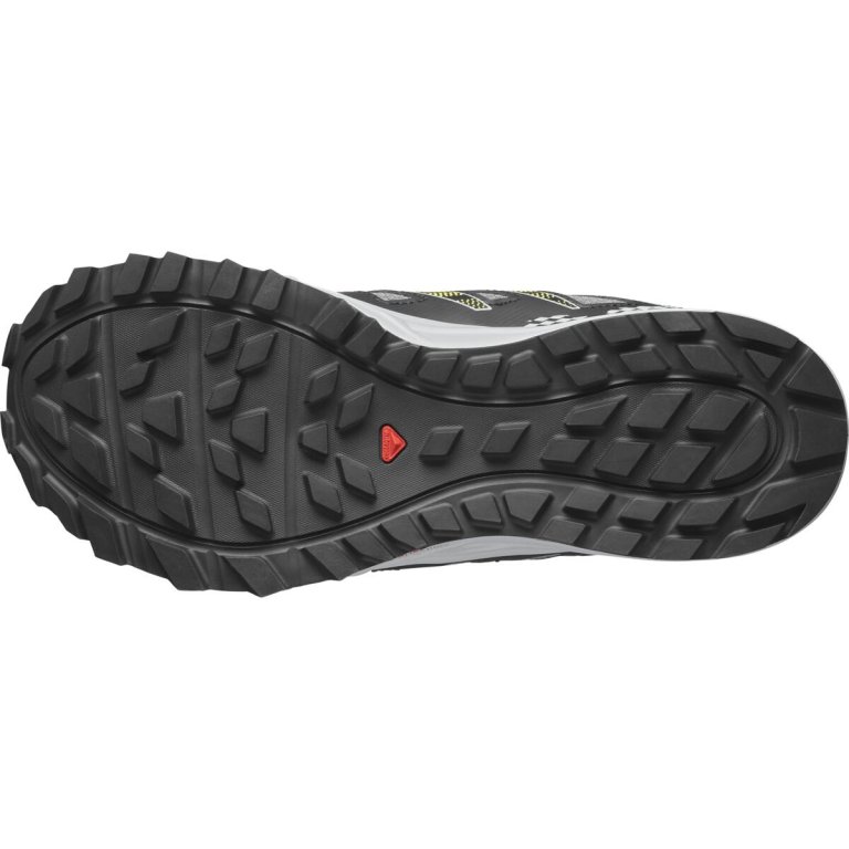 Кросівки Salomon Wander GTX M - чорні/сірі