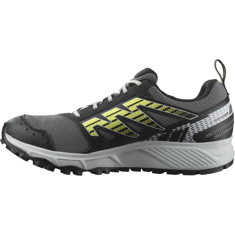 Кросівки Salomon Wander GTX M - чорні/сірі