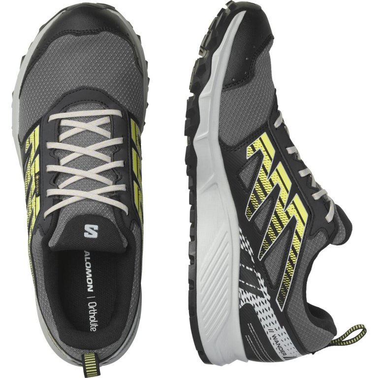 Кросівки Salomon Wander GTX M - чорні/сірі