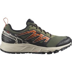 Кросівки Salomon Wander GTX M - чорні/зелені
