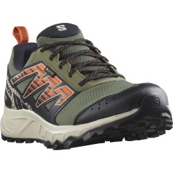 Кросівки Salomon Wander GTX M - чорні/зелені