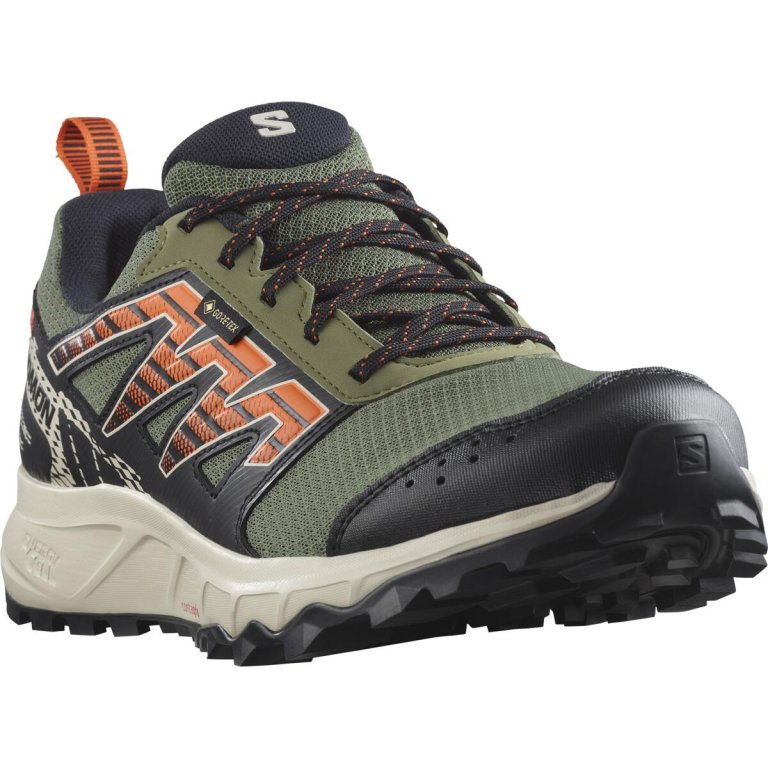 Кросівки Salomon Wander GTX M - чорні/зелені