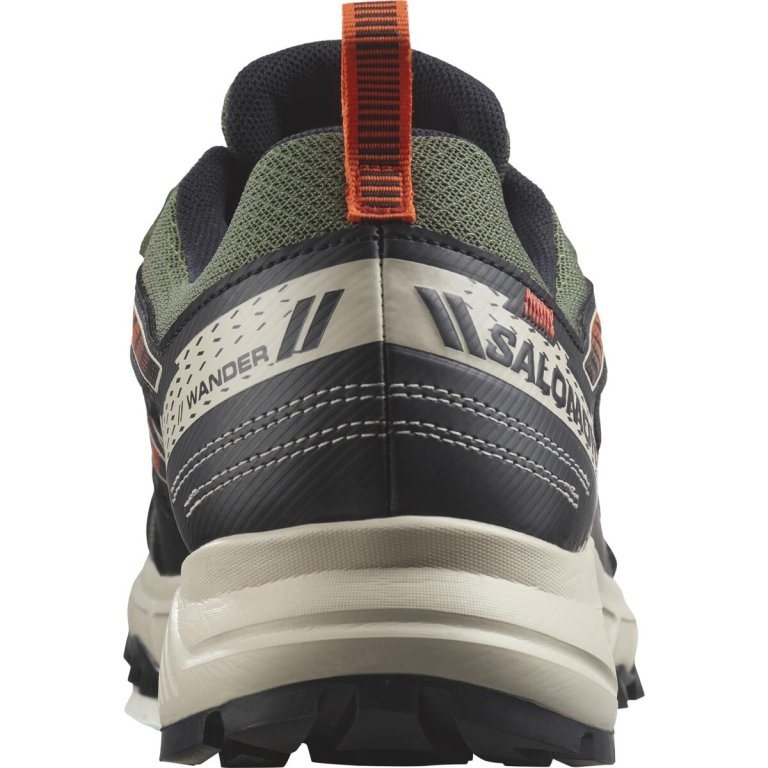 Кросівки Salomon Wander GTX M - чорні/зелені