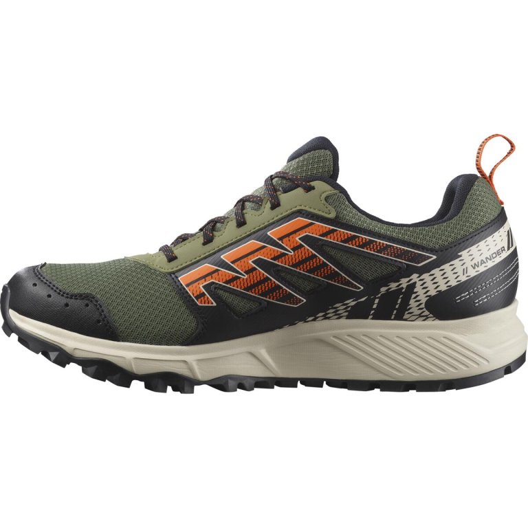 Кросівки Salomon Wander GTX M - чорні/зелені